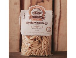 Paste penne - ILIENI